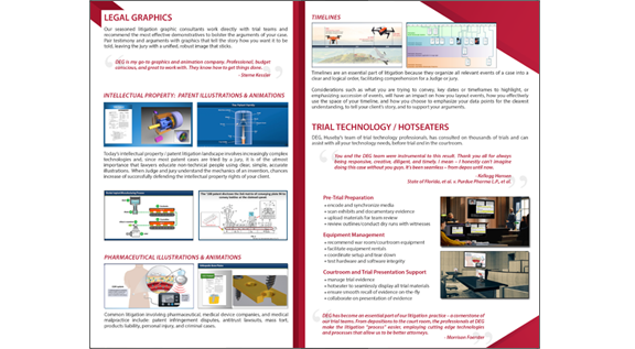 IP Brochure Tri-Fold (inner)