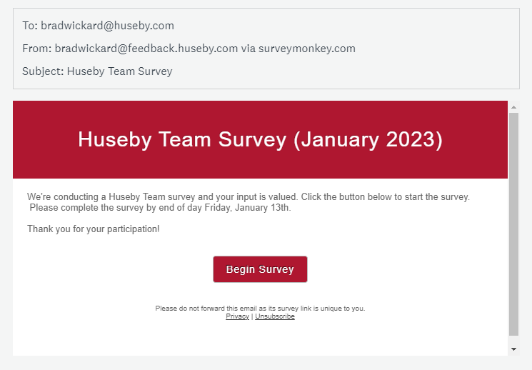 Team Survey Email Sample