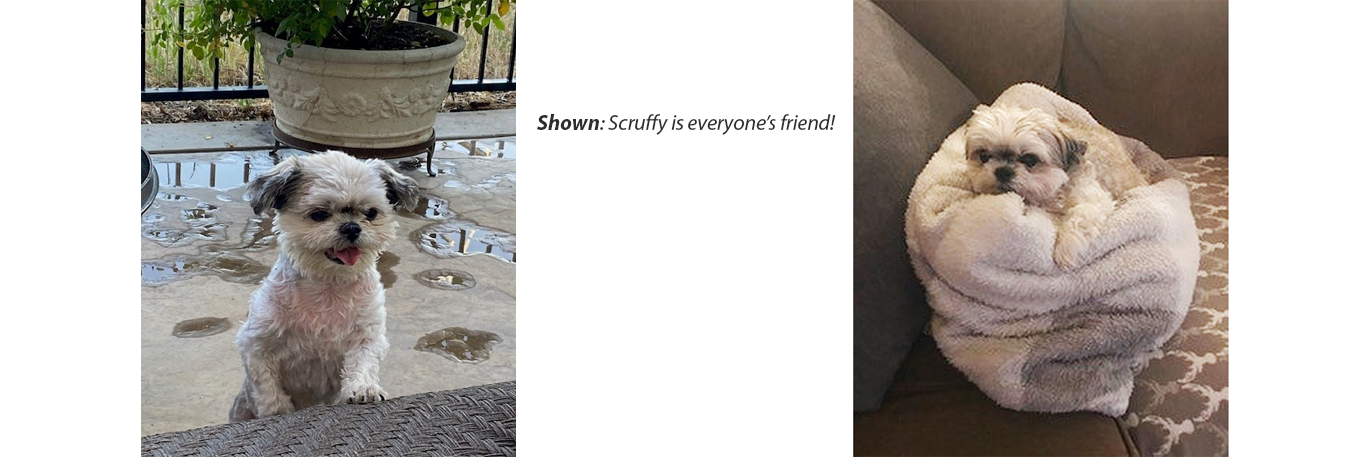 Scruffy complilation 2